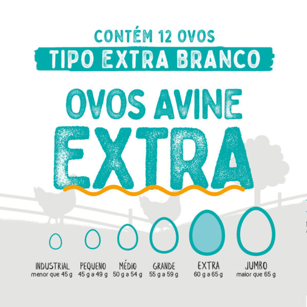 Ovos Galinha Extra Branco com 12 Polpa Lisa Avine - Image 3