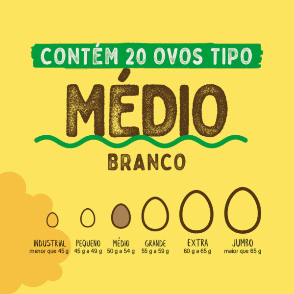 Ovos Galinha Médio Branco com 20 Plastificado Avine - Image 3