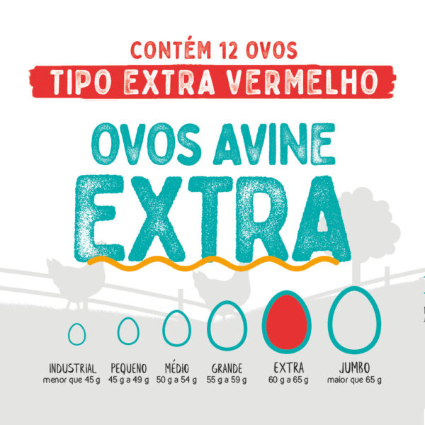 Ovos Galinha Extra Vermelho com 12 Polpa Lisa Avine - Image 3