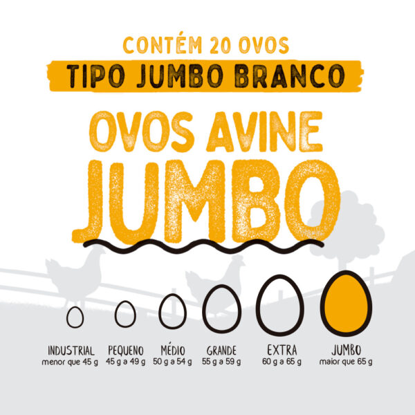 Ovos Galinha Jumbo Branco com 20 Plastificado Avine - Image 3