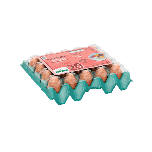 Ovos Galinha Médio Vermelho com 20 Plastificado Avine - Image 2