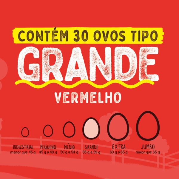 Ovos Galinha Grande Vermelho com 30 Plastificado Avine - Image 3