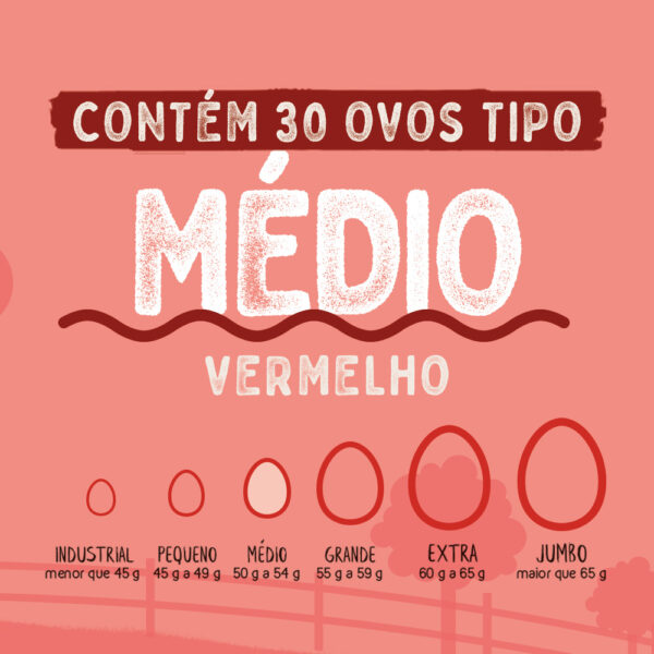 Ovos Galinha Médio Vermelho com 30 Plastificado Avine - Image 3