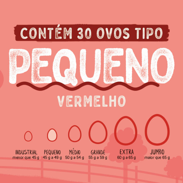 Ovos Galinha Pequeno Vermelho com 30 Plastificado Avine - Image 3